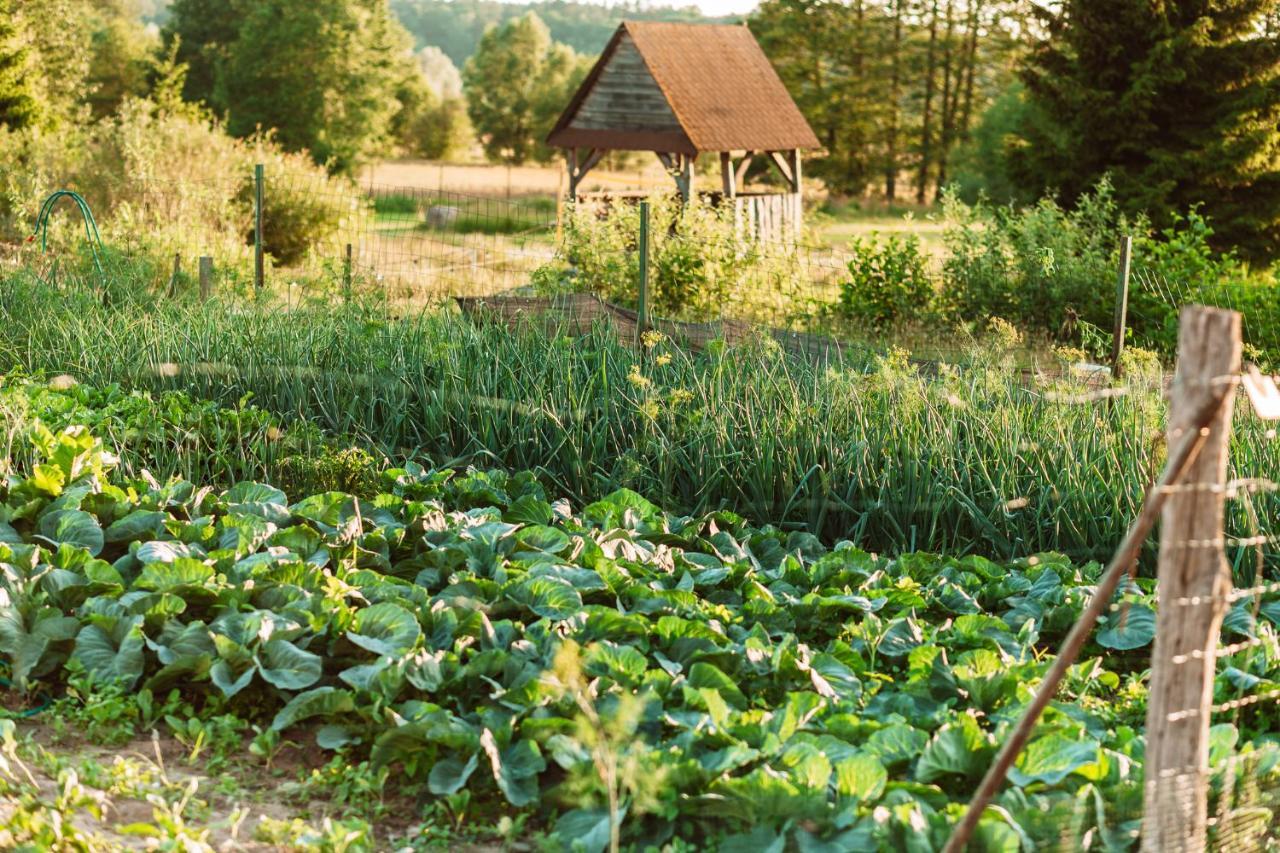 Czar Podlasia Agroturystyka Oslowo  Exterior foto